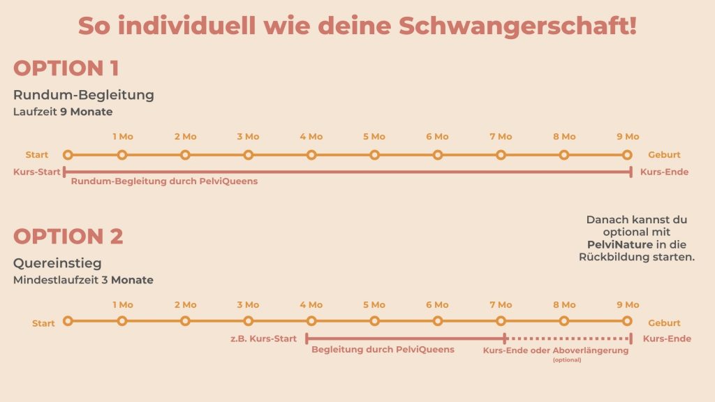 PelviBaby Preis Erklärung Handy